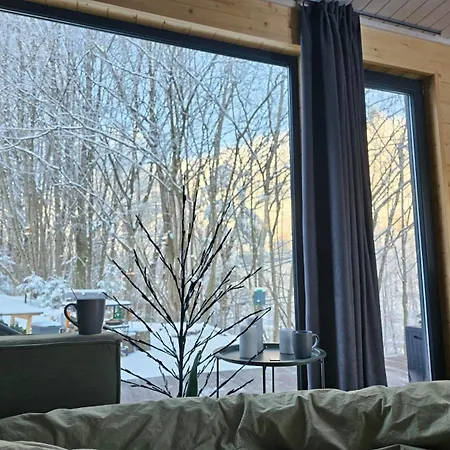 Tatil Evi модрина Ko